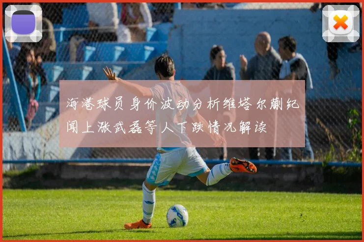 海港球员身价波动分析维塔尔蒯纪闻上涨武磊等人下跌情况解读