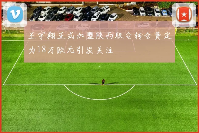 王宇翔正式加盟陕西联合转会费定为18万欧元引发关注